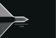 USC-Si cantilever (Close-up)