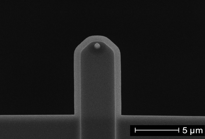 NanoWorld Ultra-Short Cantilever Top View